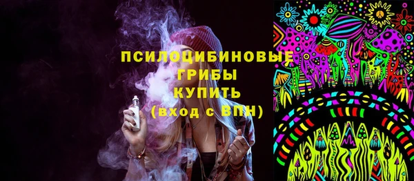 бошки Алексин