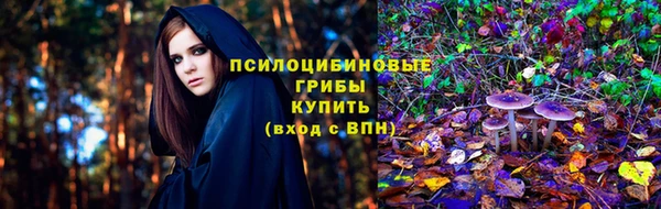 бошки Алексин