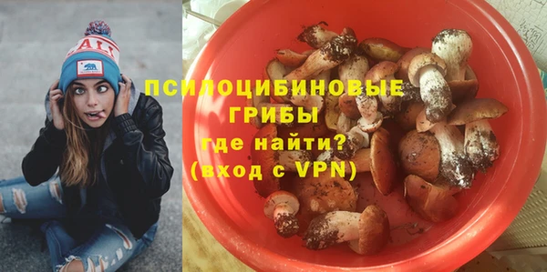 крисы Алзамай
