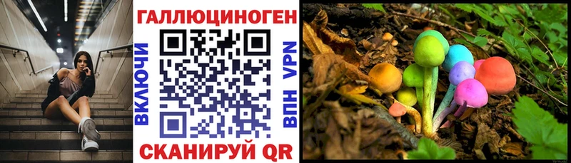 ссылка на мегу tor Бежецк Псилоцибиновые грибы Magic Shrooms