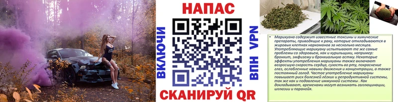 где продают наркотики Бежецк Бошки Шишки White Widow